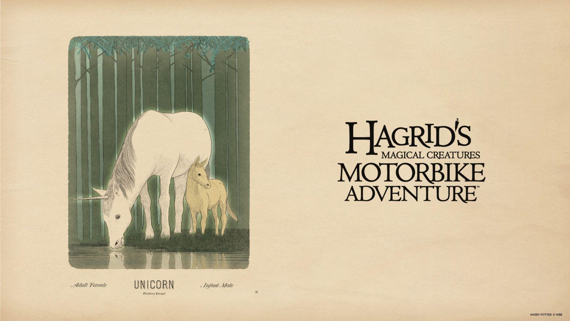 1920x1080 Download Hagrid's Magical Creatures Motorbike Adventure Wallpaper