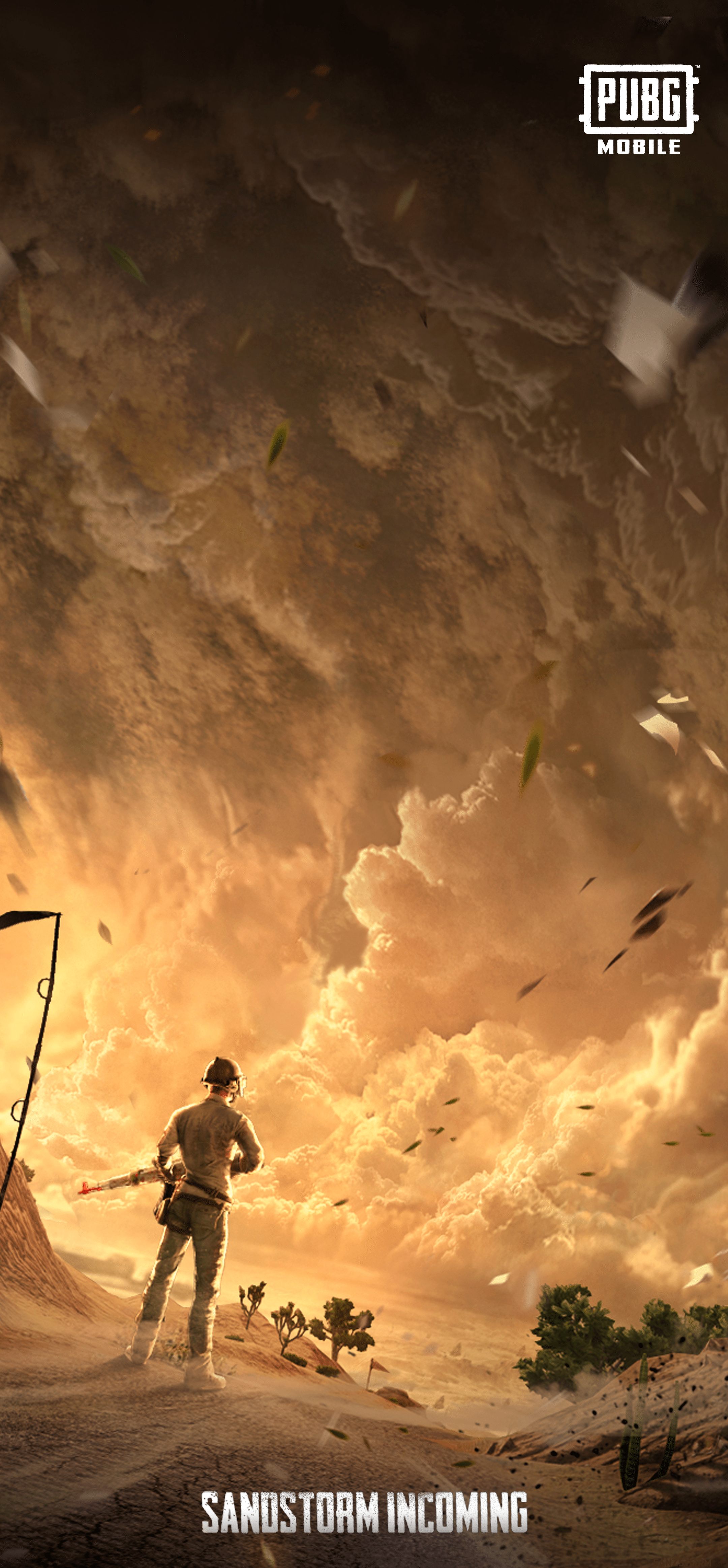 2160x4654 To Celebrate Mad Miramar, here's a mobile wallpaper with the PUBG artwork. Who loves how the sandstorm looks in the game?