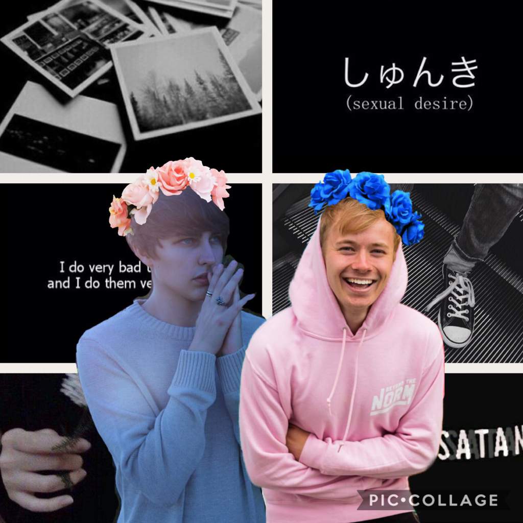 1024x1024 Sam and Colby edit!. Sam and Colby Amino
