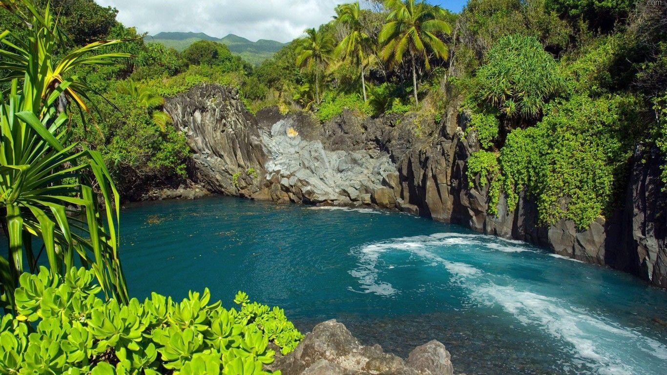 1366x768 Lago Azul Floresta Wallpaper :
