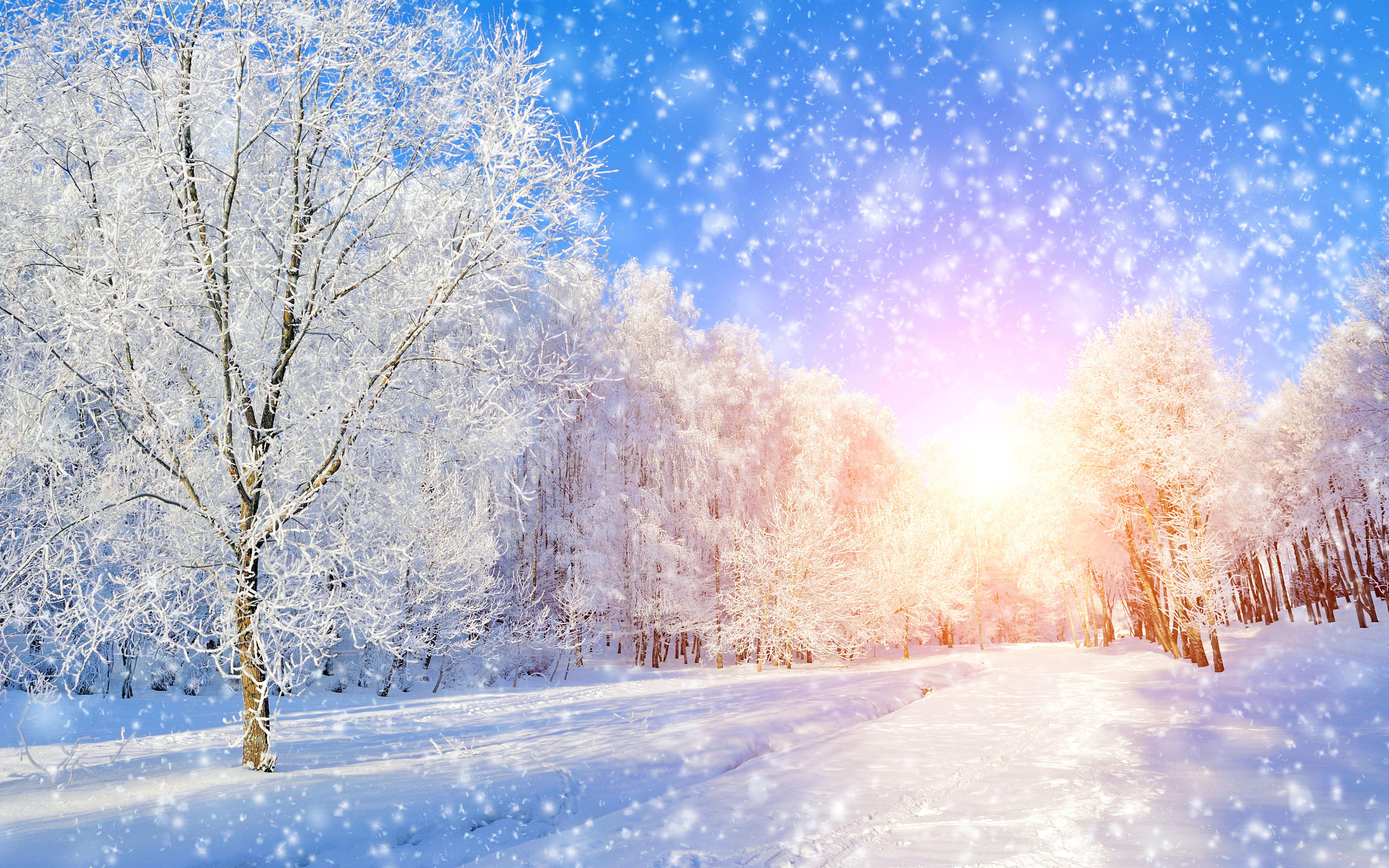 8512x5320 Winter 8k Ultra HD Wallpaper
