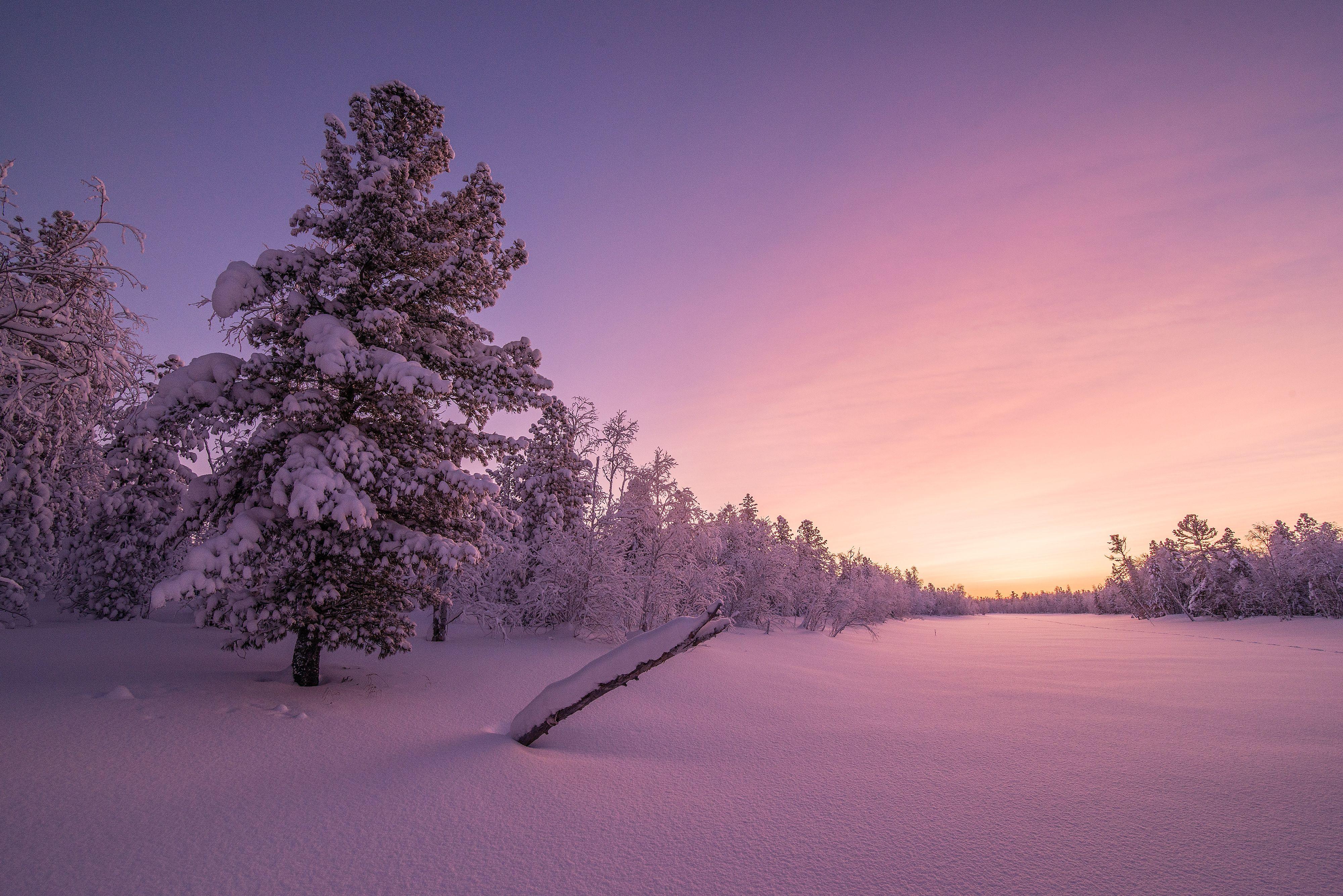 8K Ultra HD Winter Wallpapers - Top Free 8K Ultra HD Winter Backgrounds ...