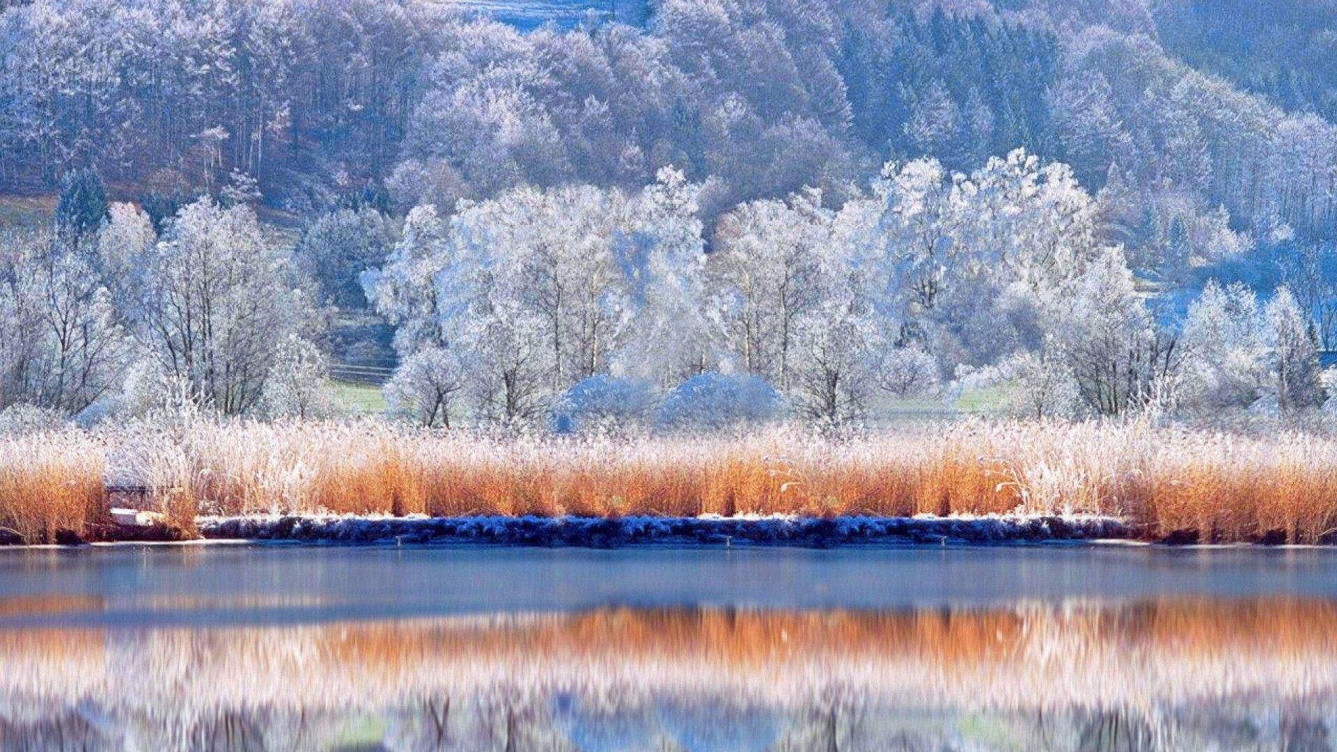 1920x1080 pretty winter nature HD wallpaper. Winter wallpaper, Free winter