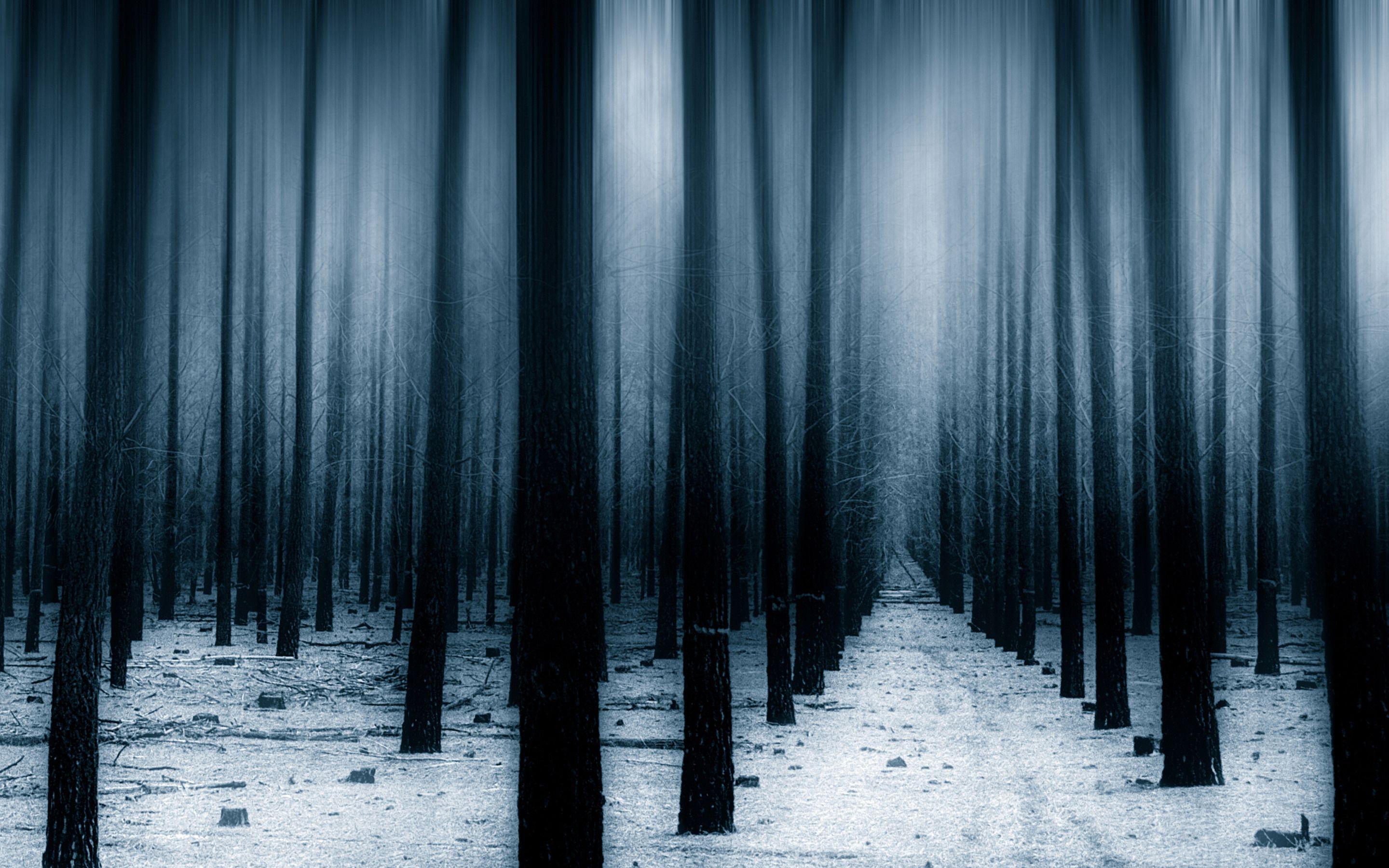 2880x1800 Dark Forest Woods Snow Winter 8k Macbook Pro Retina HD