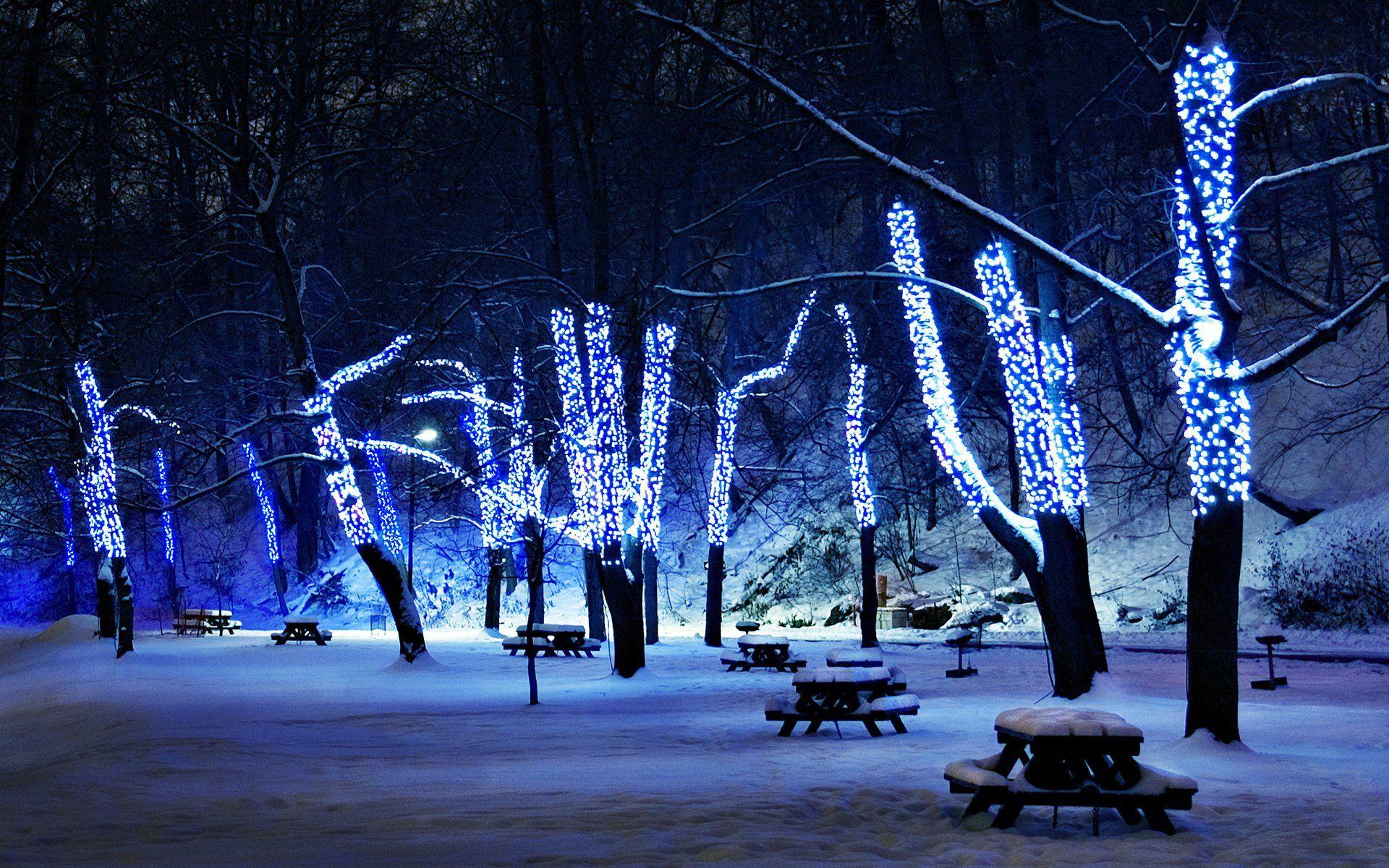 1920x1200 Pretty Winter Wallpaper 41356 1920x1200px