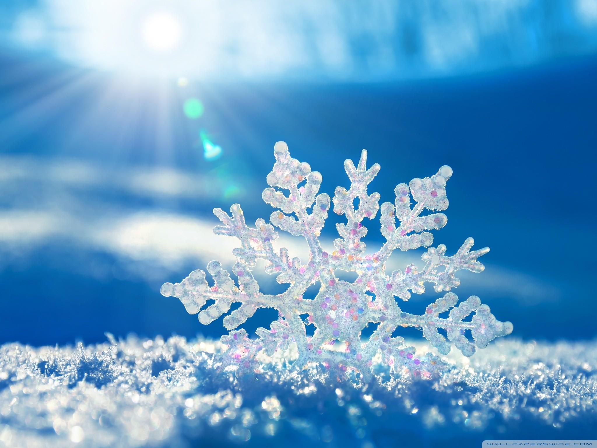 2048x1536 Cute Winter Desktop Wallpaper