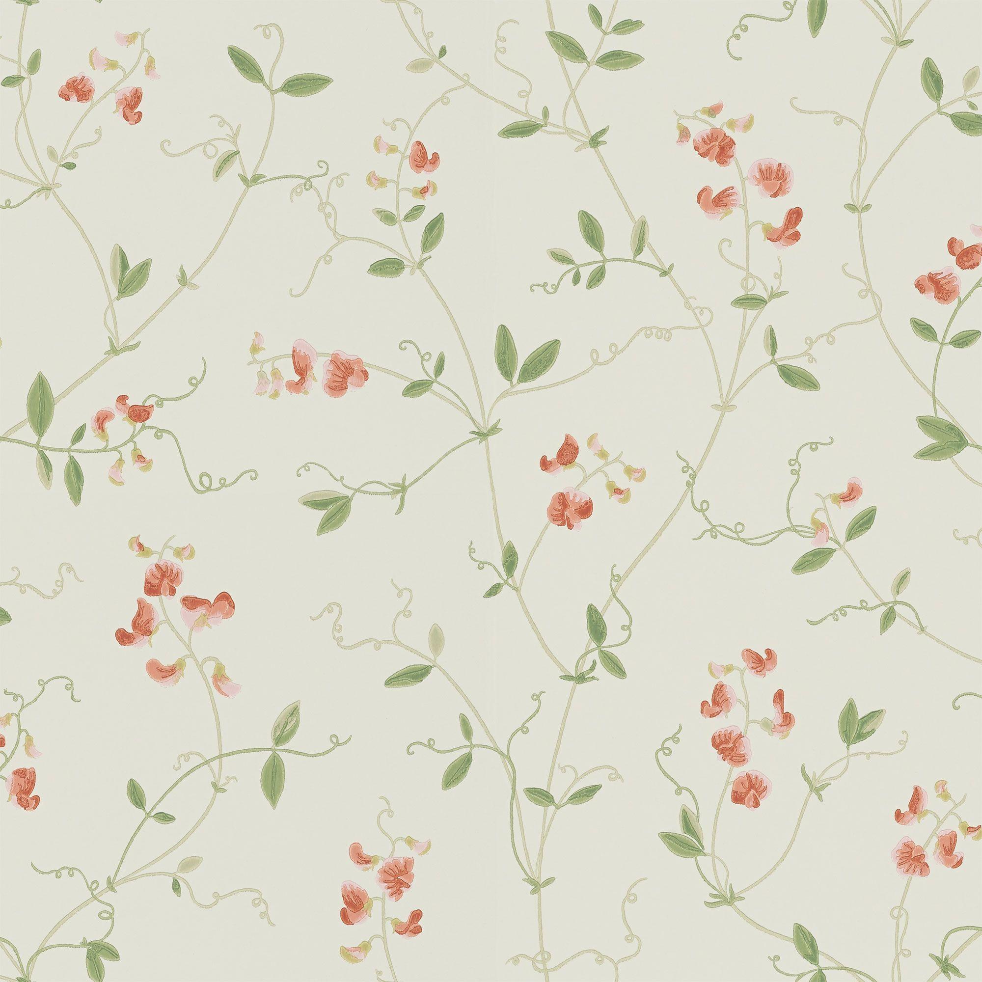 2000x2000 Airy, fragrant sweet peas that trail their way up the wall. A
