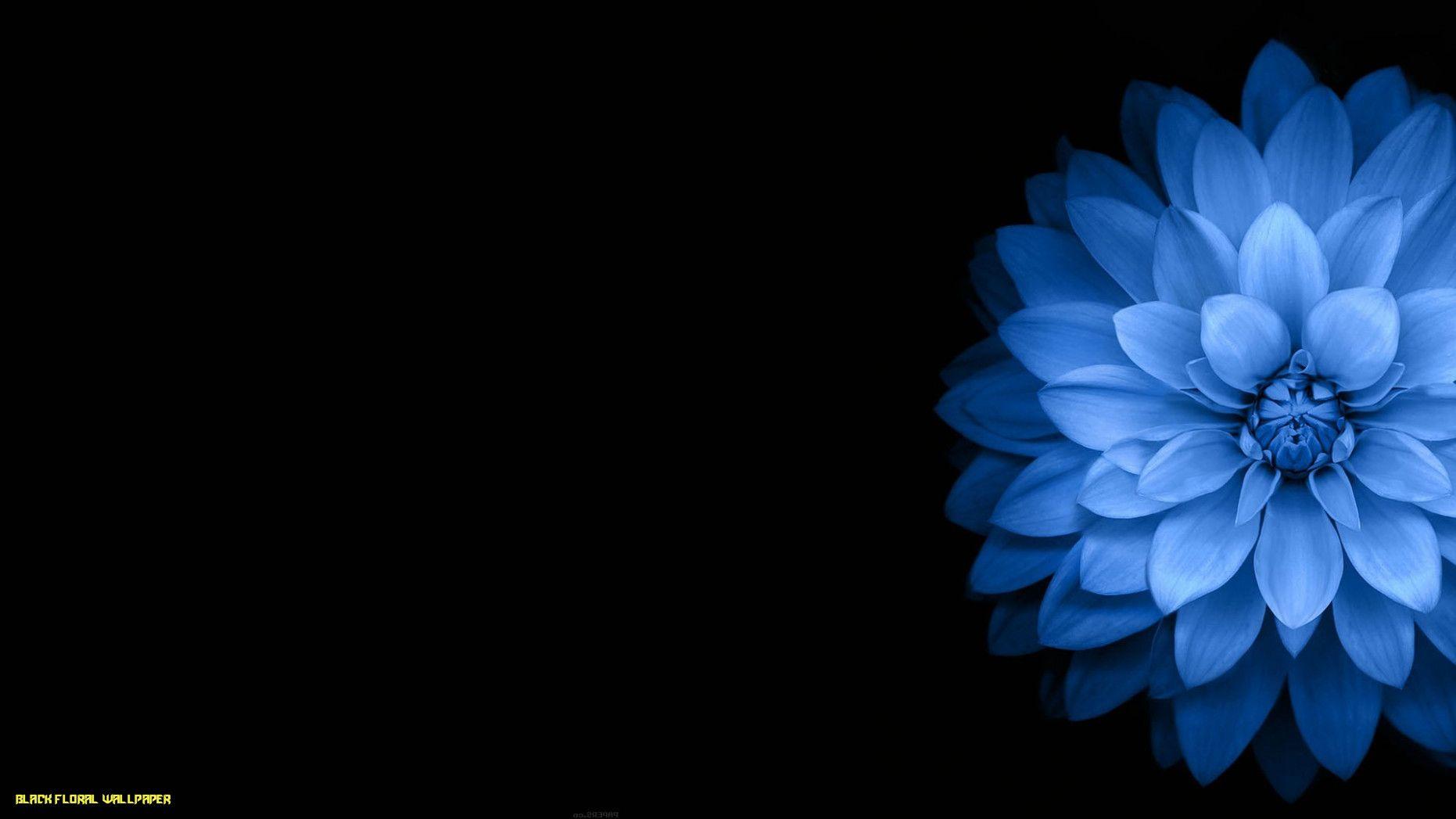 1862x1047 Reliable Sources To Learn About Black Floral Wallpaper. Black Floral Wallpaper