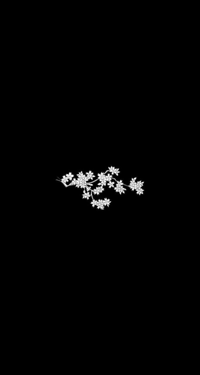 684x1280 Aesthetic Black And White Background Flowers Wallpaper Portal