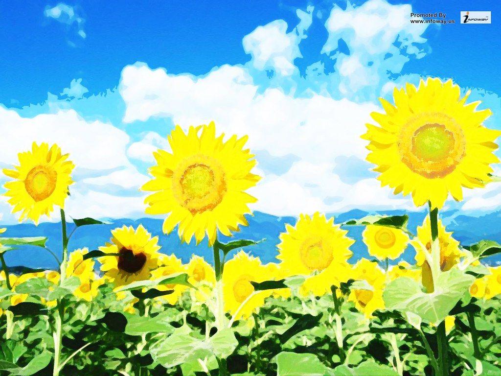 1024x768 Sun Flower Wallpaper. Sun Flower Wallpaper