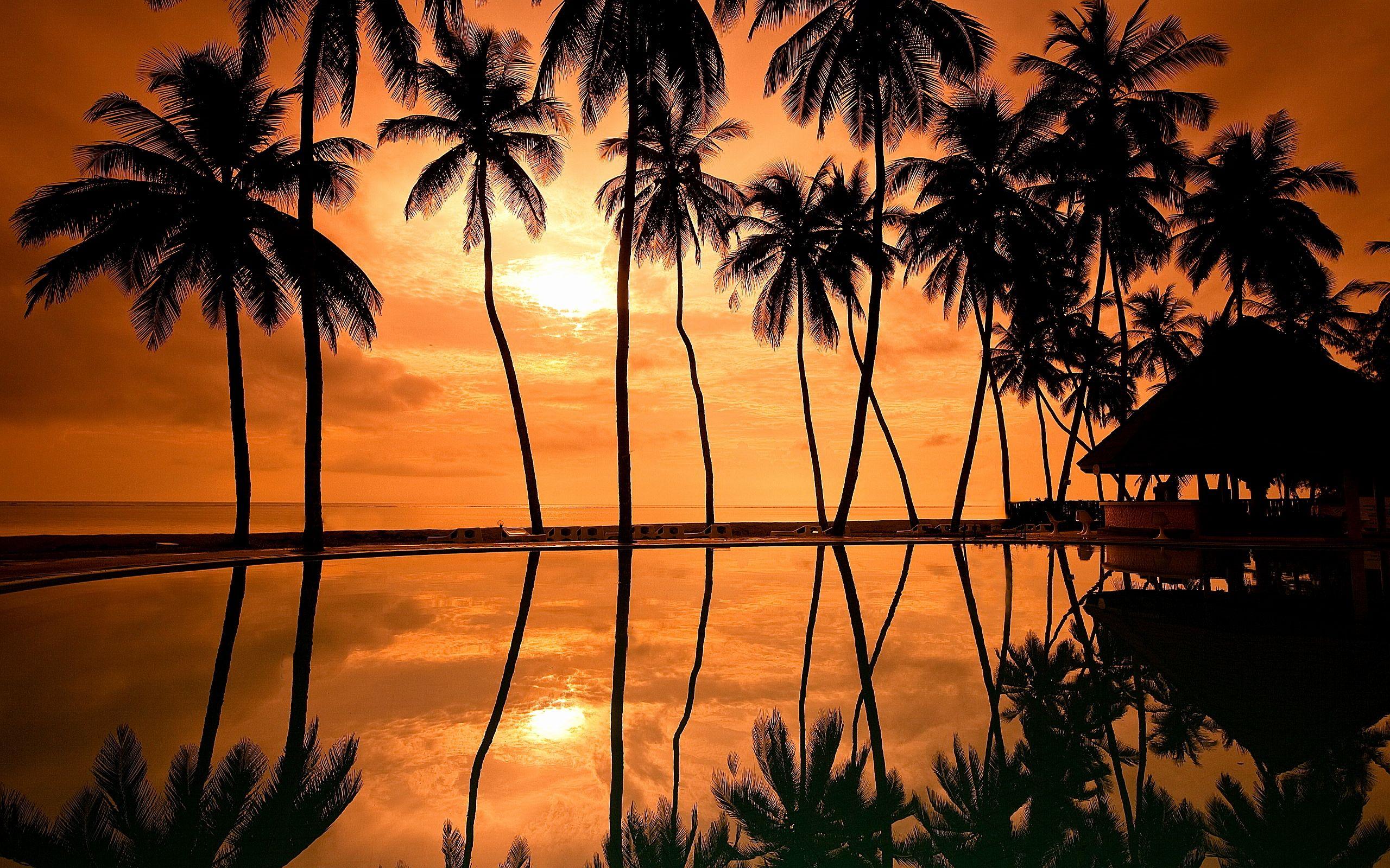 2560x1600 Hawaiian Beach Background Best Of Hawaii Sunset Wallpaper