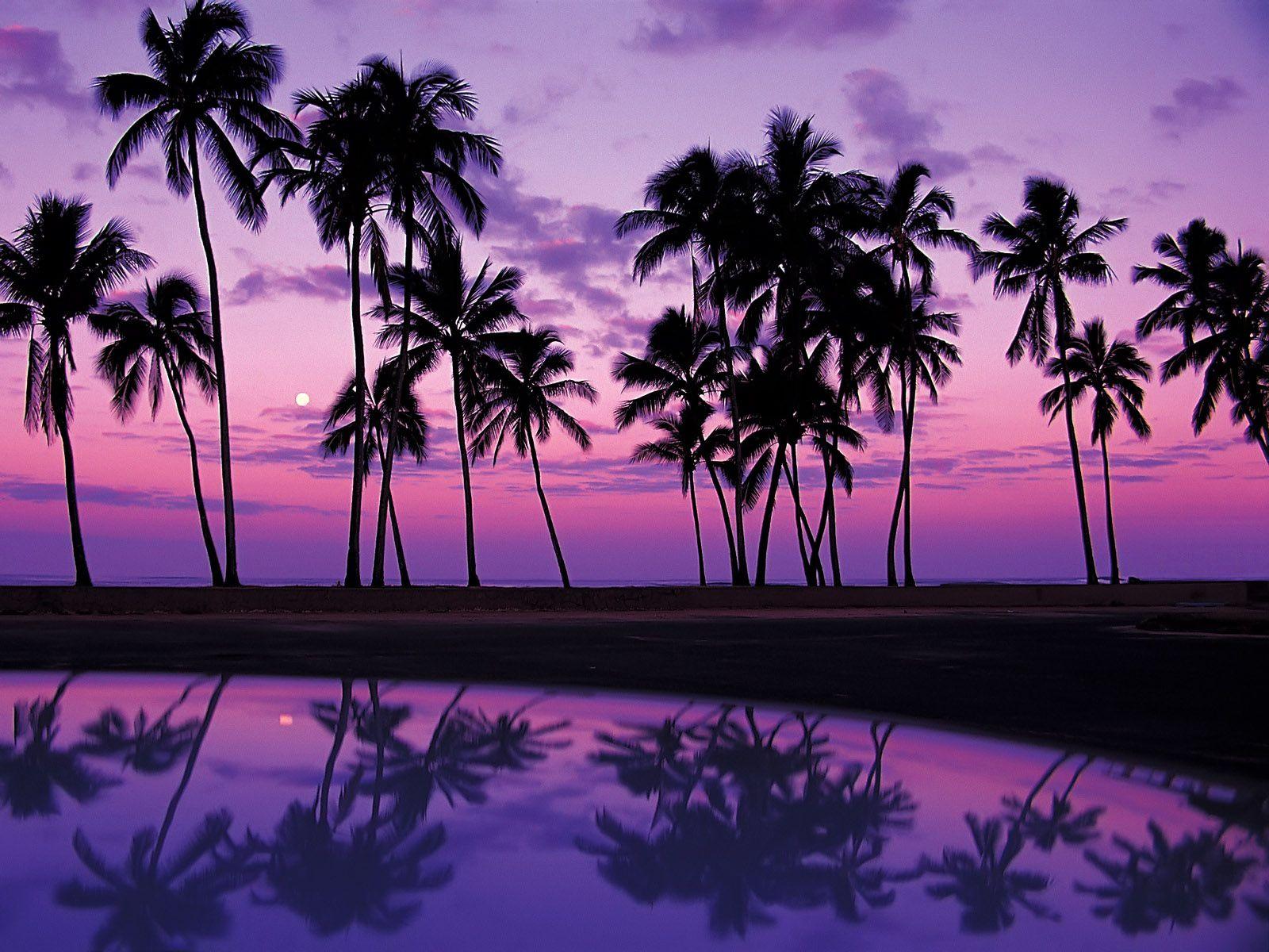 1600x1200 Free download Wallpaper tropics sunset USA reflection Oahu palm