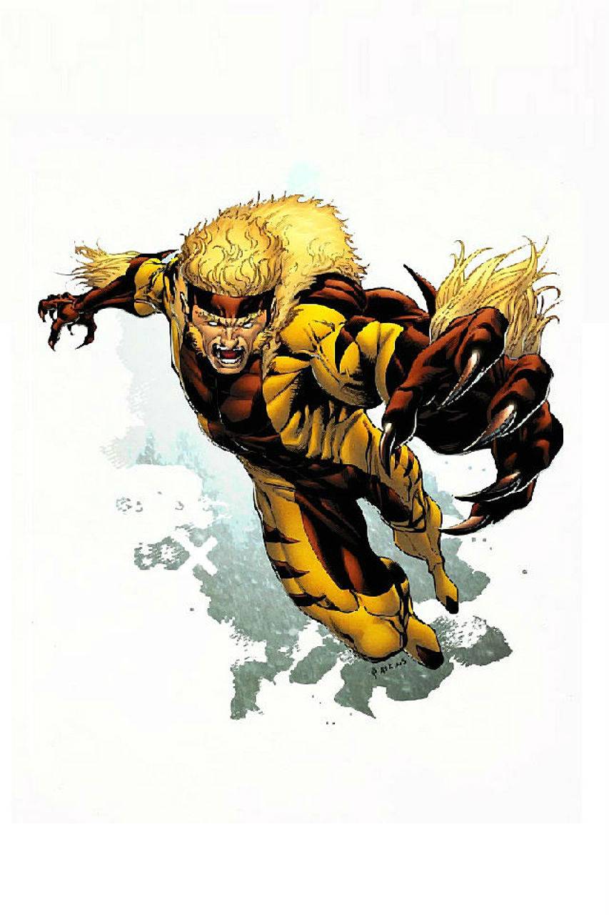 853x1280 Sabretooth Men Wallpaper