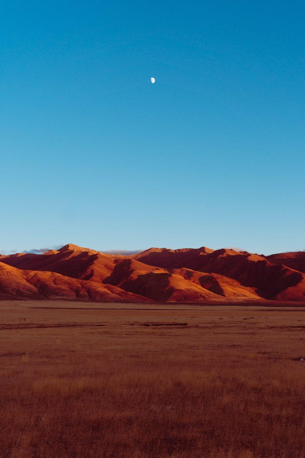 1000x1500 Nevada Desert Picture. Download Free Image