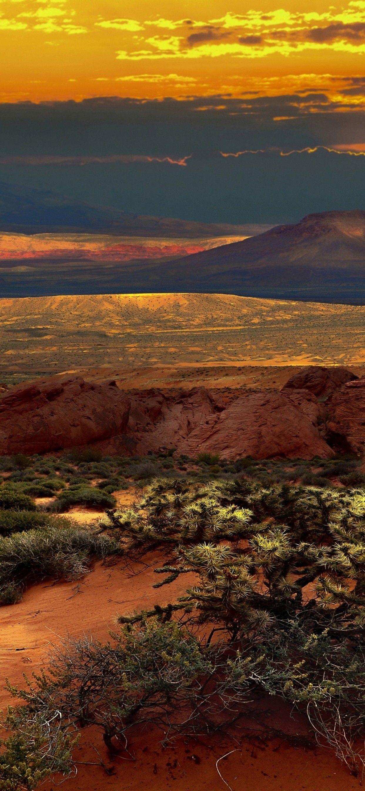 Nevada Desert Wallpapers Top Free Nevada Desert Backgrounds