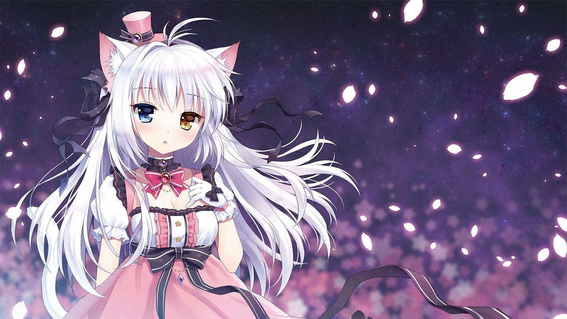 19 X 1080 Anime Cat Girl Wallpapers Top Free 19 X 1080 Anime Cat Girl Backgrounds Wallpaperaccess
