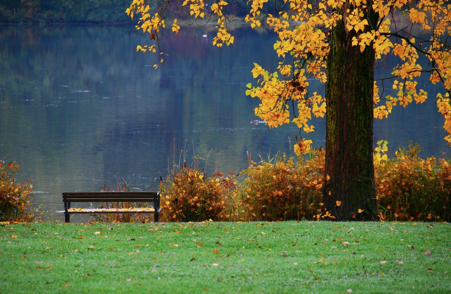 1920x1250 Autumn Leaves HD Wallpaper, Autumn Leaves Background, New Background