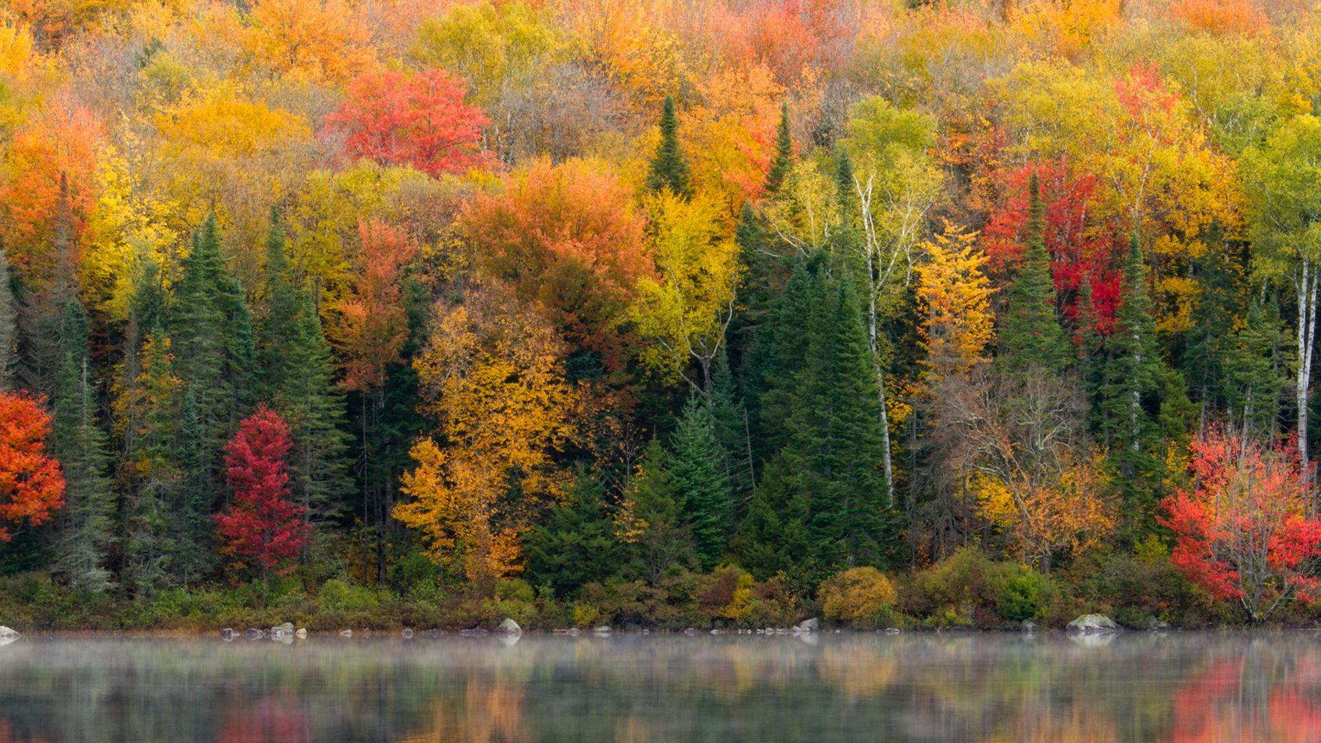 1920x1080 Landscape Photography: Autumn
