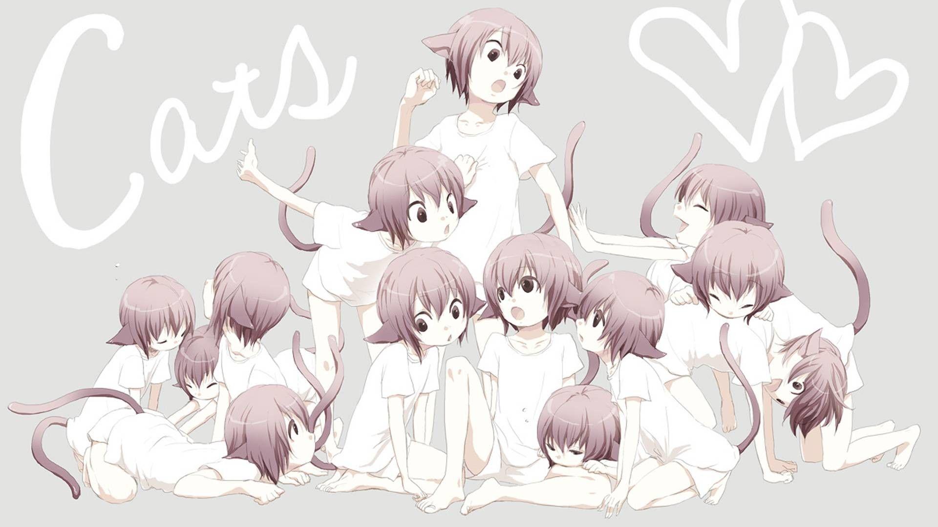 1920x1080 Anime Cat Girl