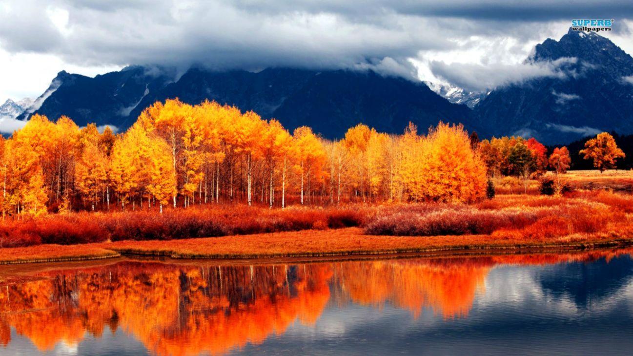1297x729 Landscape Autumn HD Wallpaper