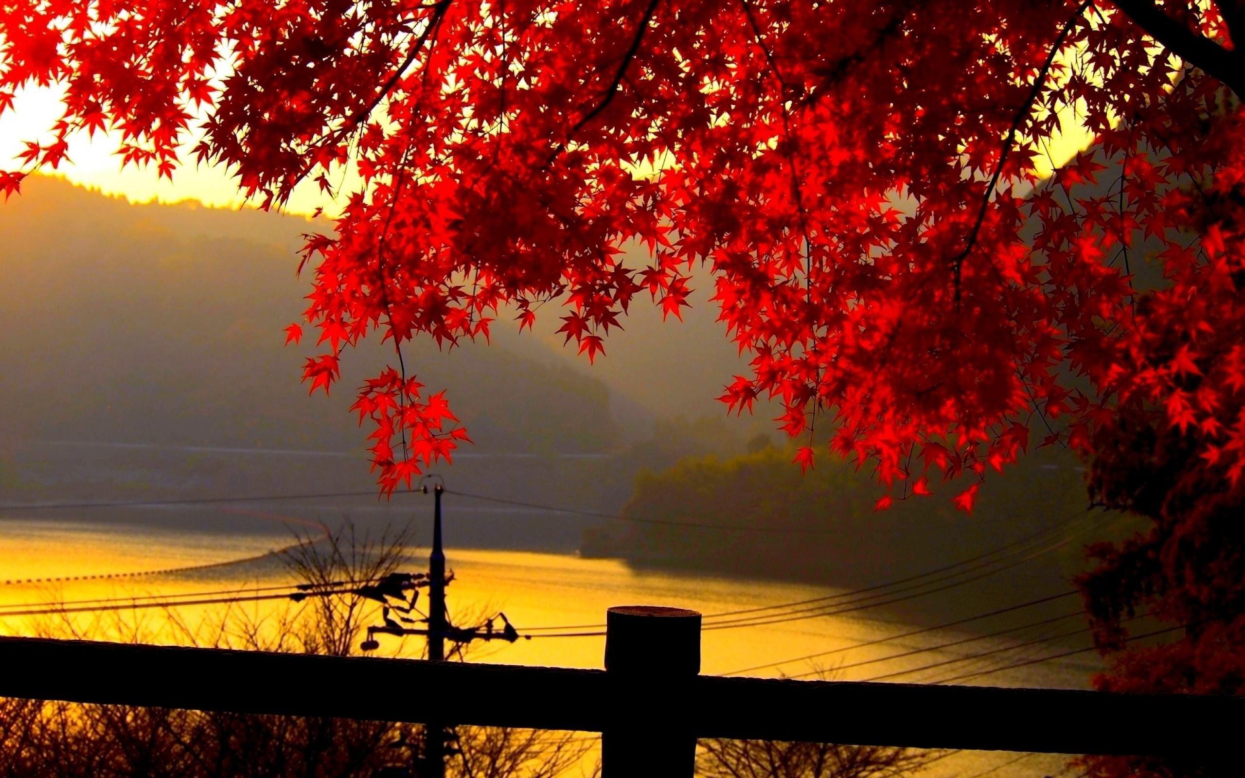 2560x1600 Fall Wallpaper. Fall Wallpaper