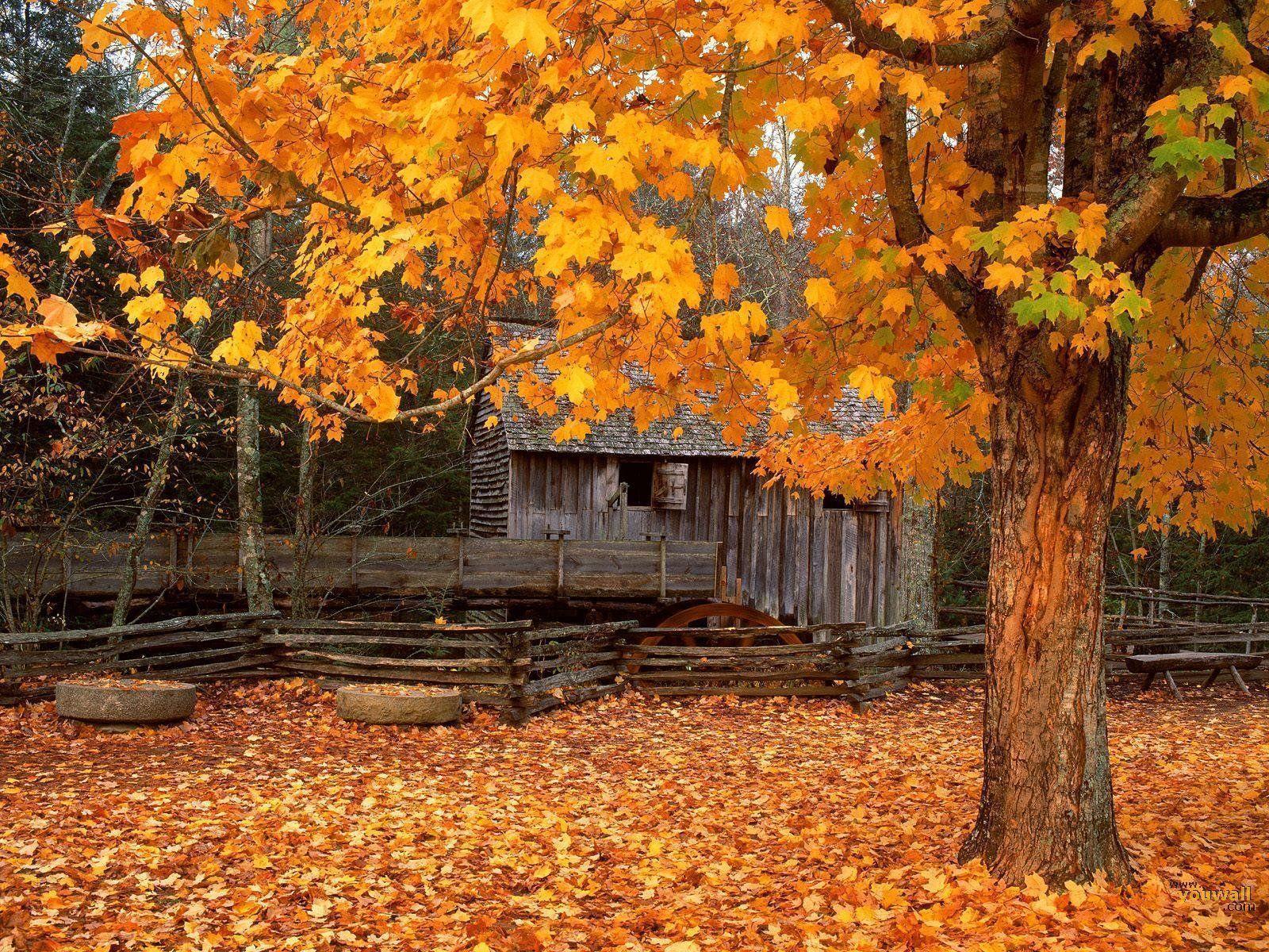 1600x1200 3D Fall Wallpaper