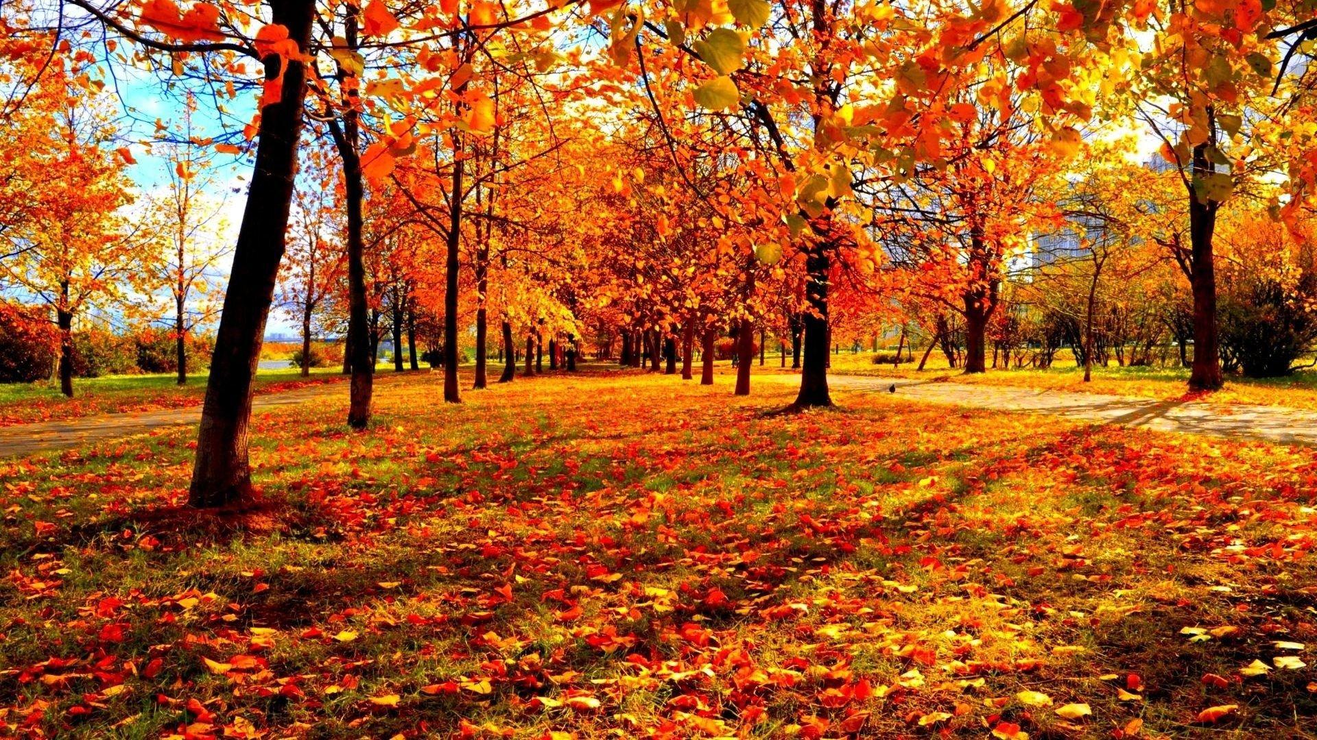 1920x1080 Wallpaper Fall Season