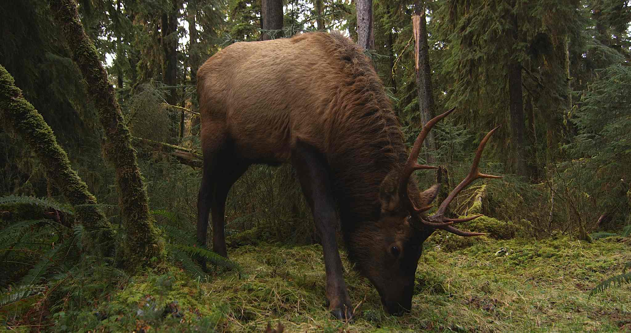 2048x1080 Pacific Northwest Wallpaper