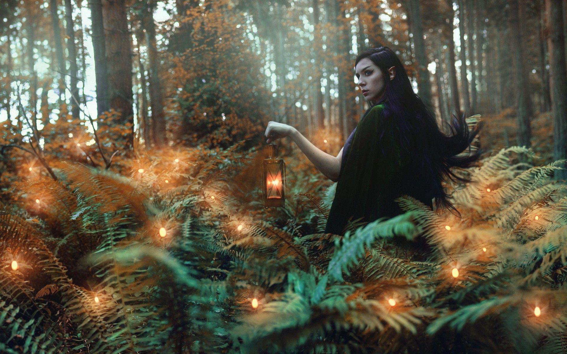 1920x1200 Elven Forest Wallpaper