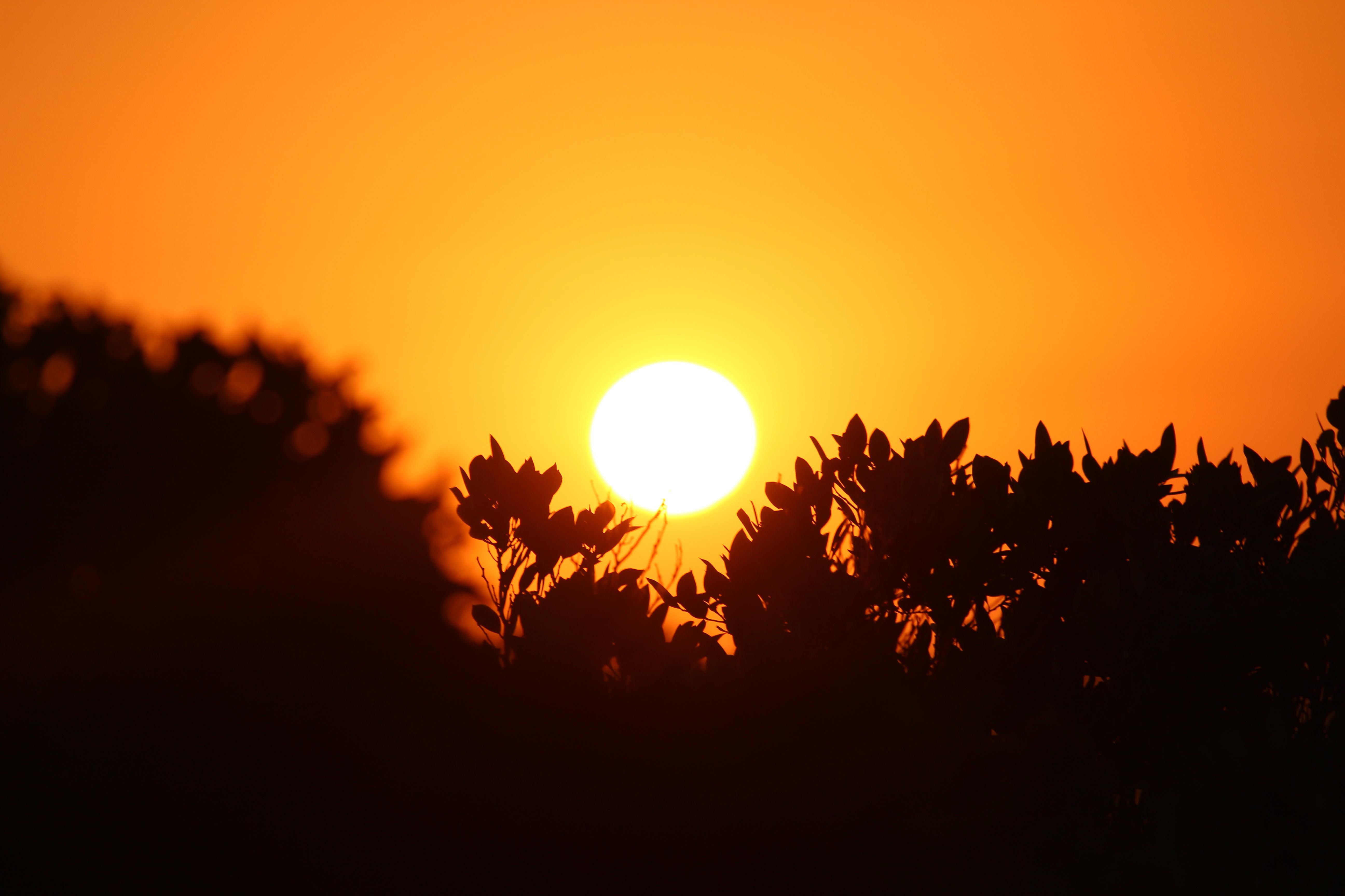 5184x3456 Australia 4K wallpaper for your desktop or mobile screen free