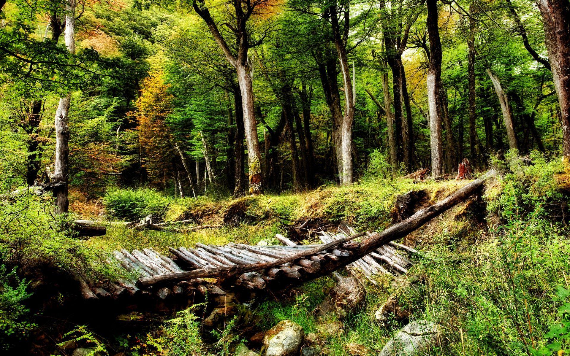 1920x1200 Old Bridge Wallpaper Rivers Nature Wallpaper in jpg format for free