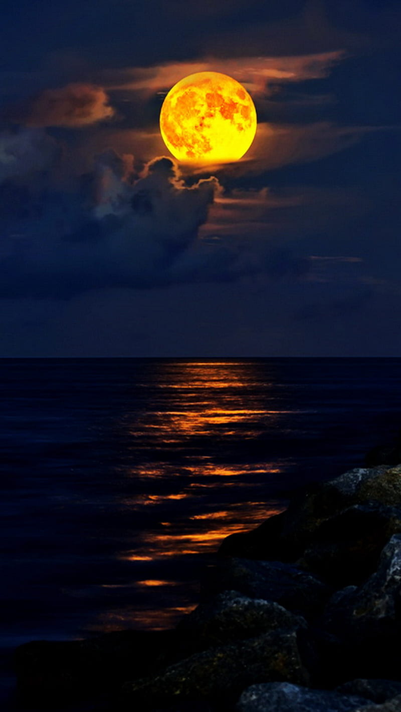 800x1422 HD full moon beach beach wallpaper