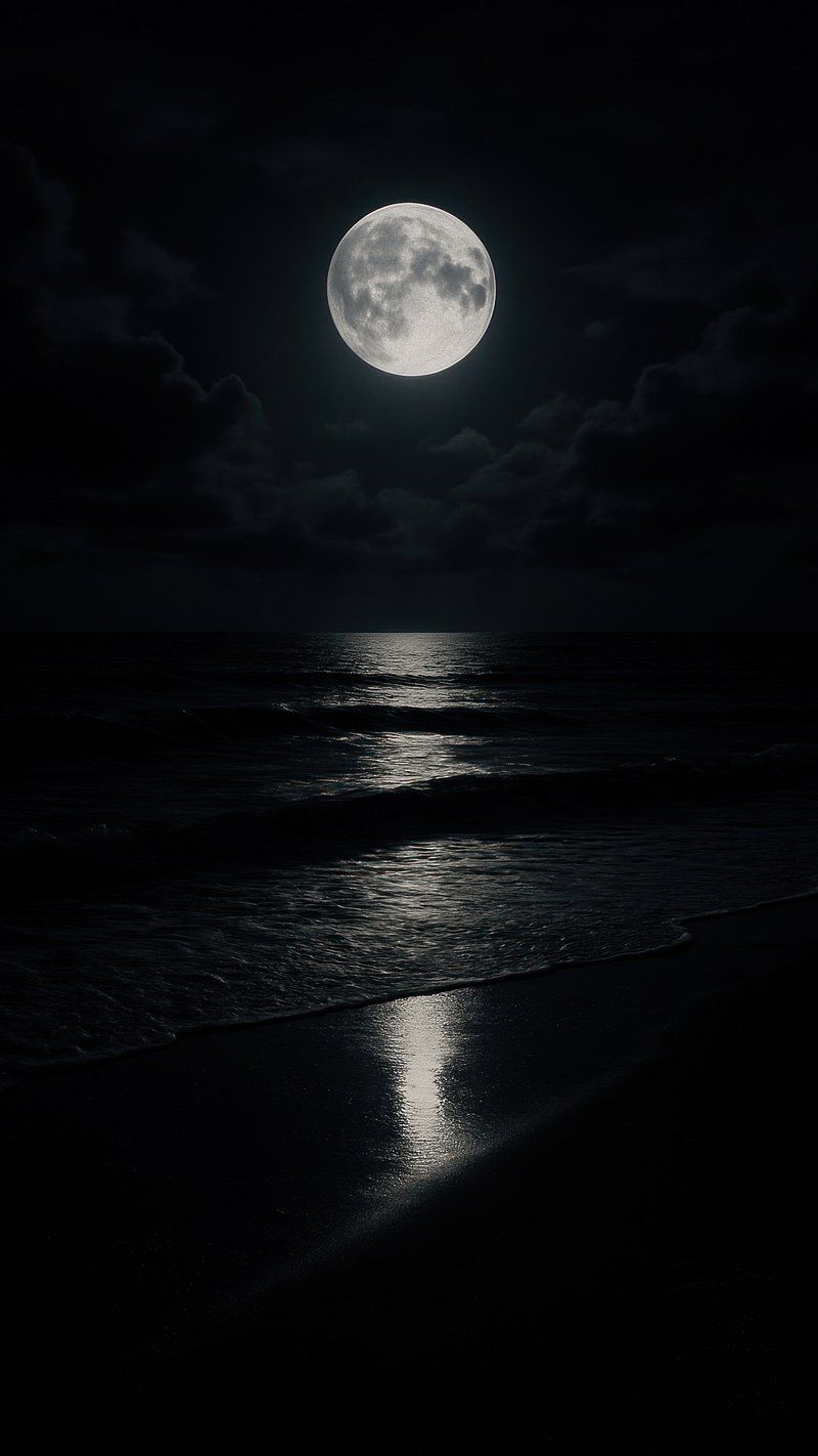 800x1422 Full Moon Beach Image Wallpaper
