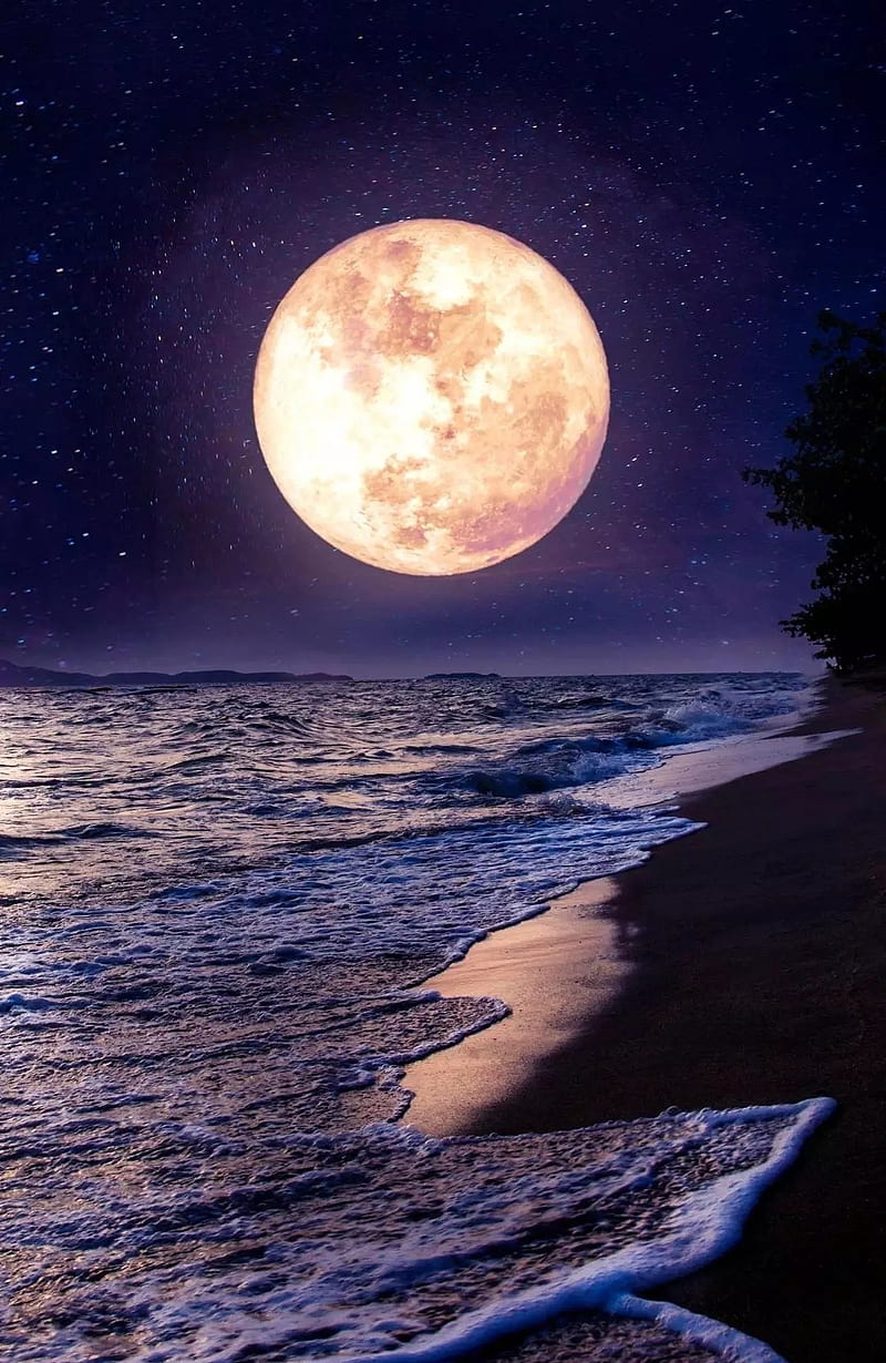 800x1230 HD moon rise beach wallpaper