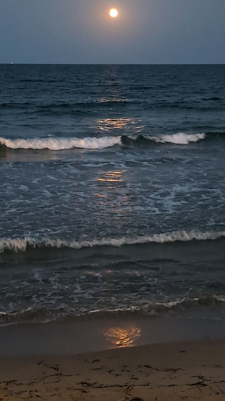 720x1280 Sea, Waves, Full Moon. Free Stock Video