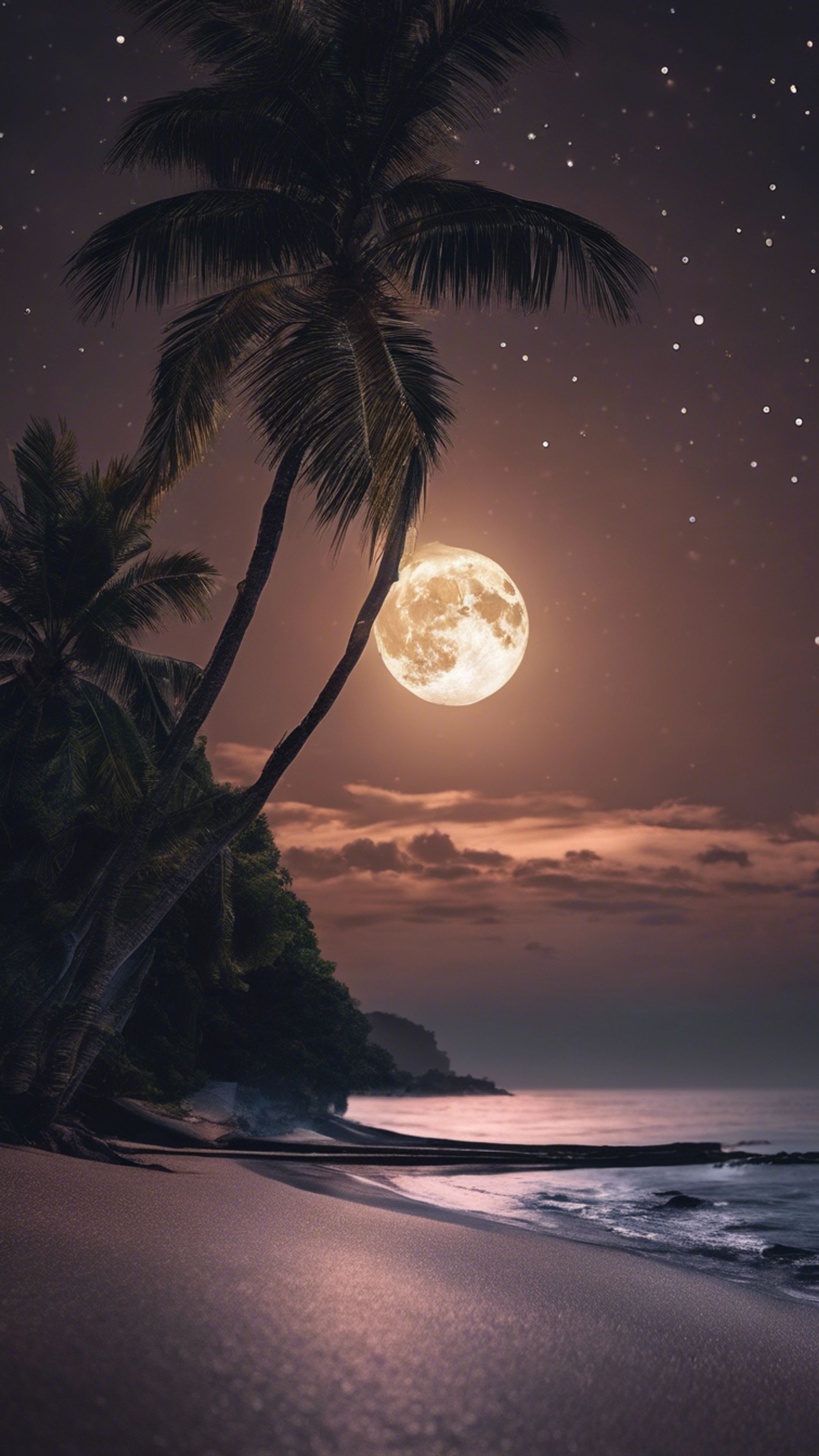 2160x3840 A midnight view of a tropical beach, illuminated by the lustrous glow of the full moon. Wallpaper [b4437483ef2b4dab9cfd]