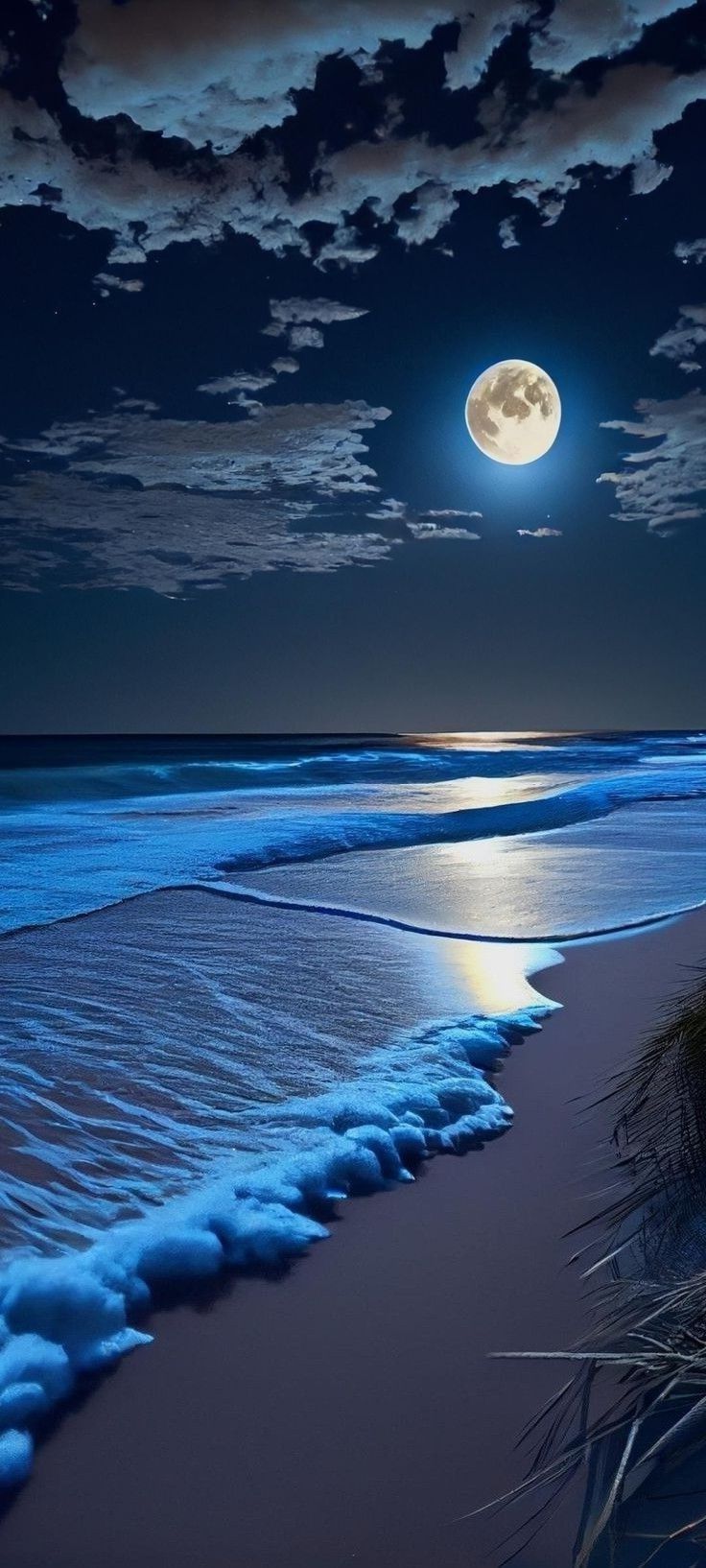 736x1634 Beautiful Background Image for Wallpaper