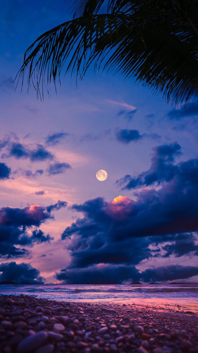 675x1200 4k #wallpaper for your #smartphone #Beach #Sky #Cloud #Moon