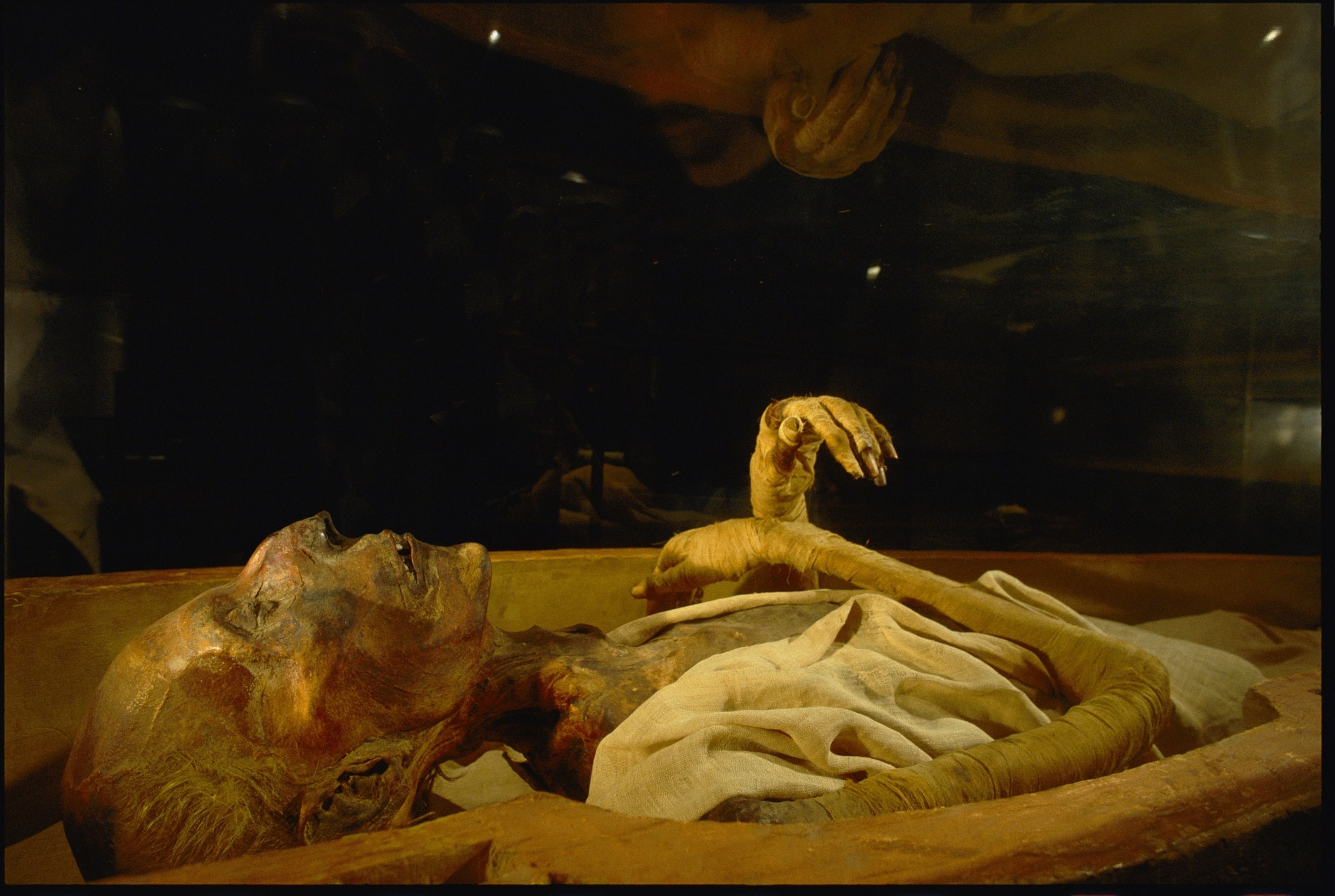 3072x2063 Photo of Extraordinary Mummies, Ancient and Modern