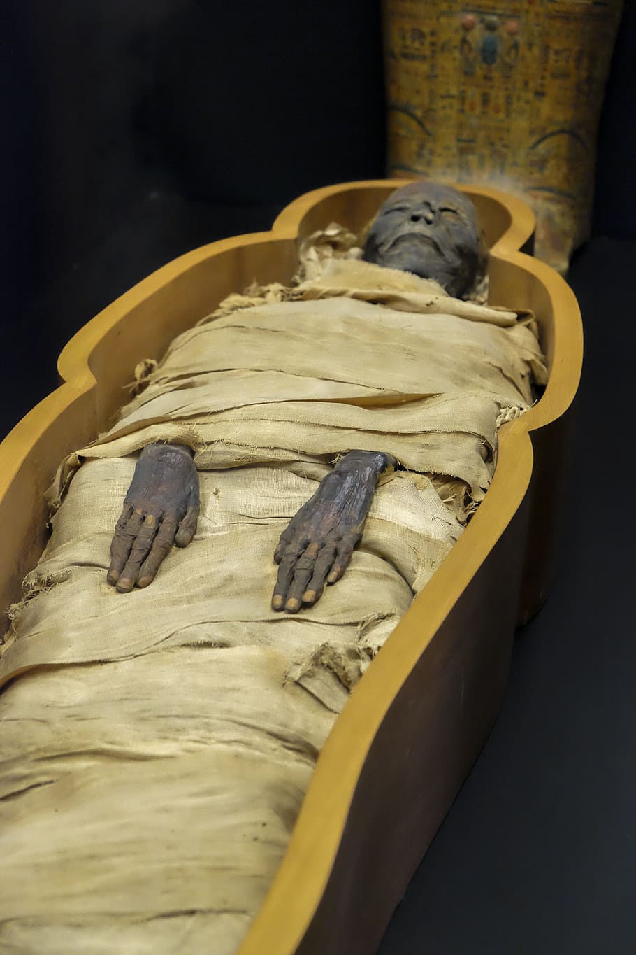 910x1365 Museum of egypt 1080P, 2K, 4K, 5K HD wallpaper free download, sort