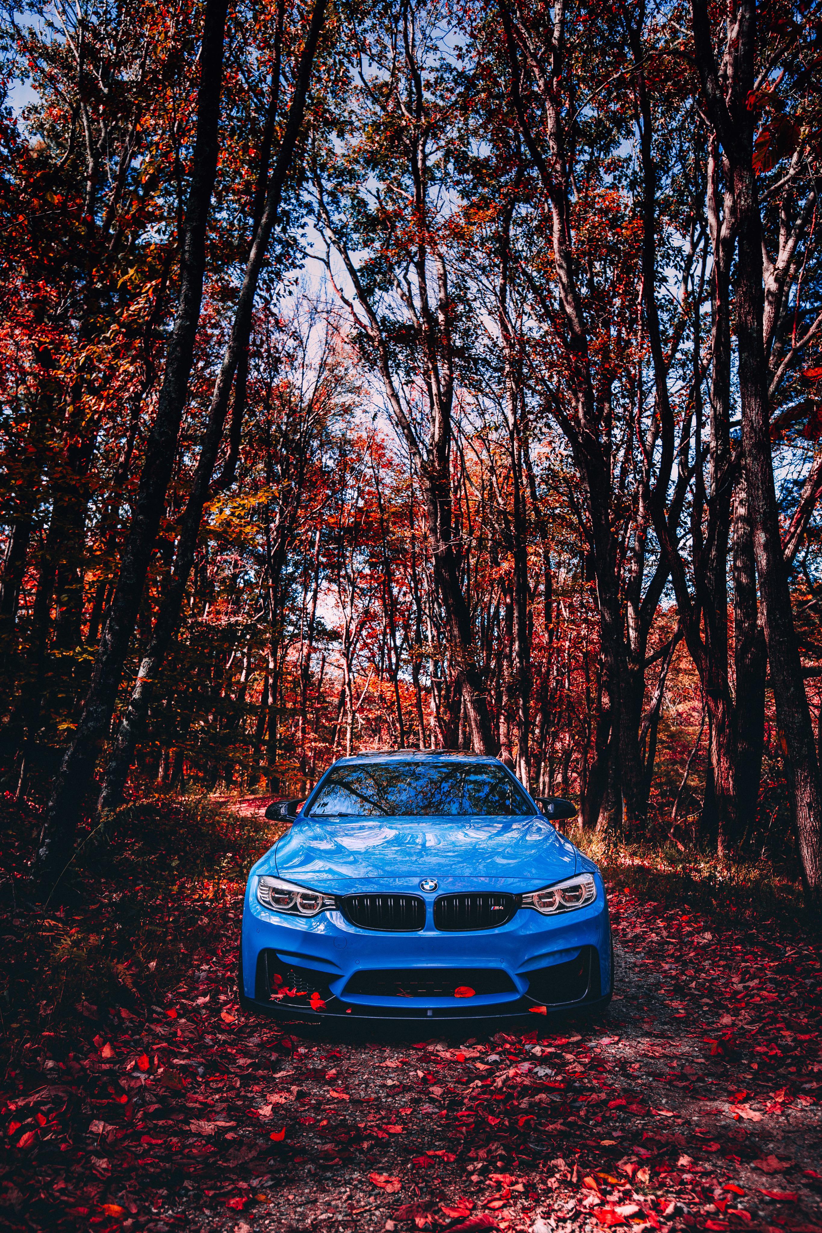 2731x4096 Yas Marina Blue M4