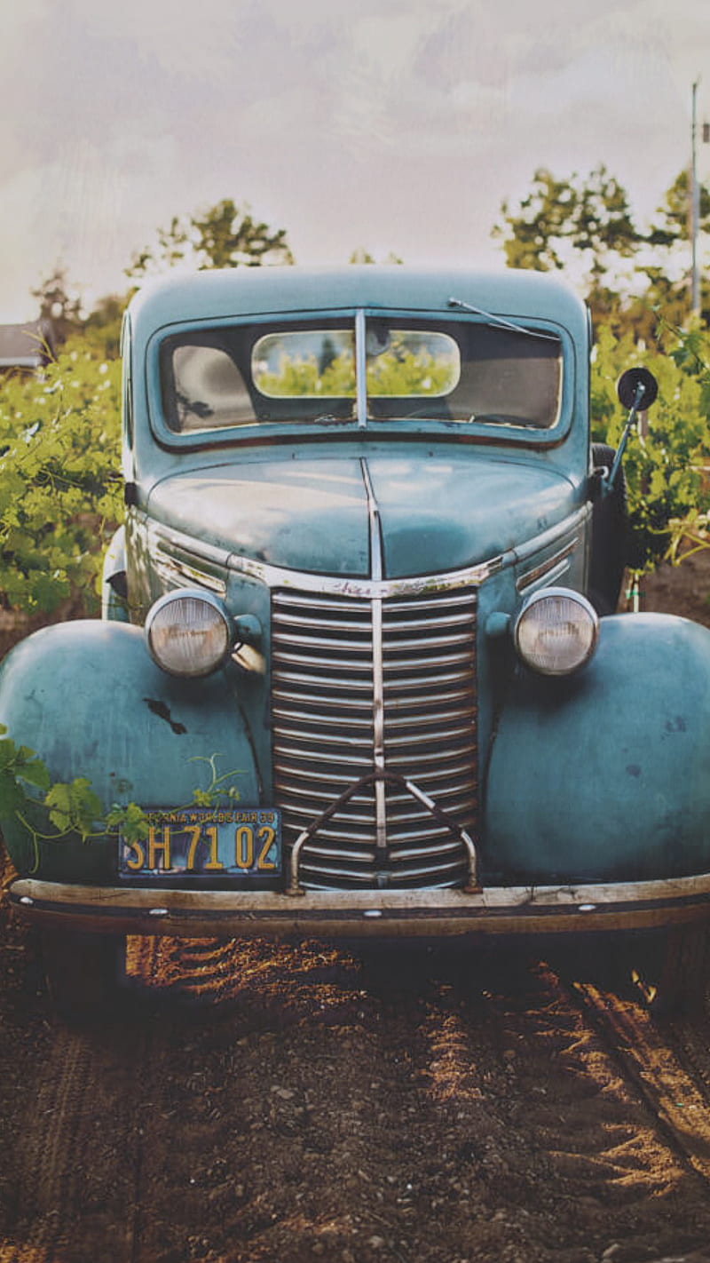 800x1422 Countryside Life, car, carros, classic, farm, led, plant, simple, towing, van, HD phone wallpaper