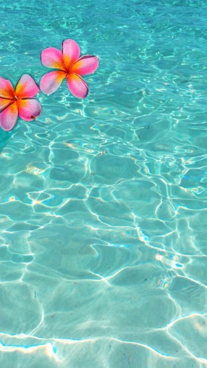 675x1200 With pink cute flower