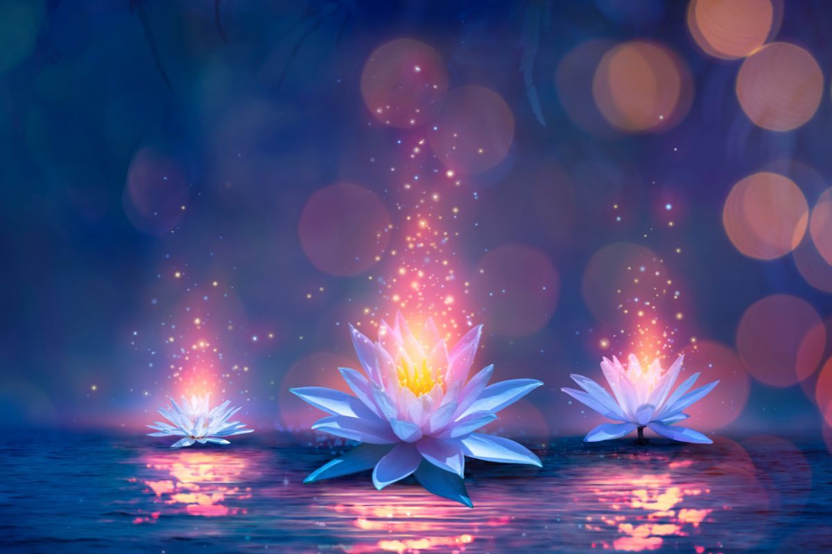 1200x800 Magic Lotus Flower On Water Wallpaper Mural®