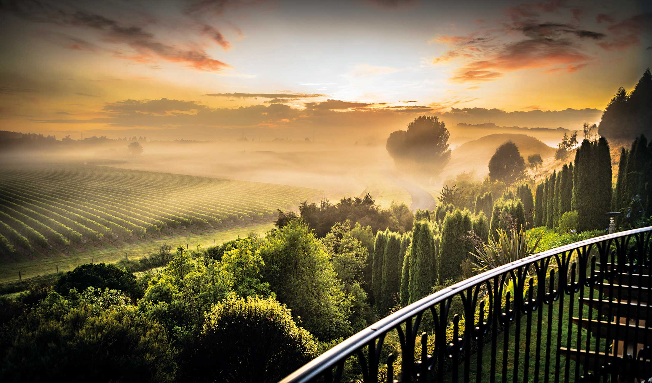 2200x1294 The New World of wine tourism
