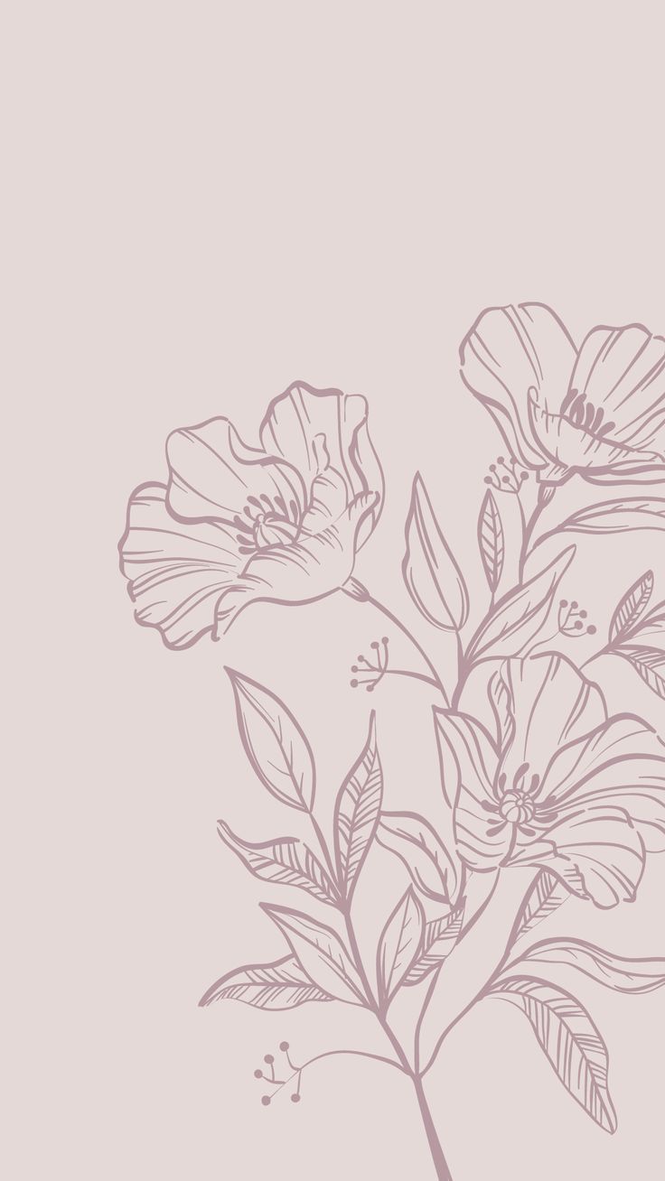736x1308 flower phone wallpaper