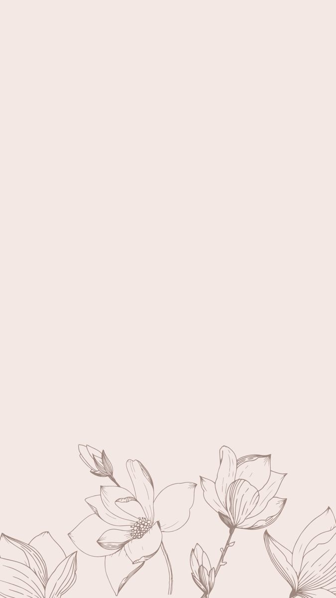 675x1200 ورق جدران وردية مع إطار فارغ. Flower line drawing wallpaper, White floral aesthetic wallpaper, Floral outline background