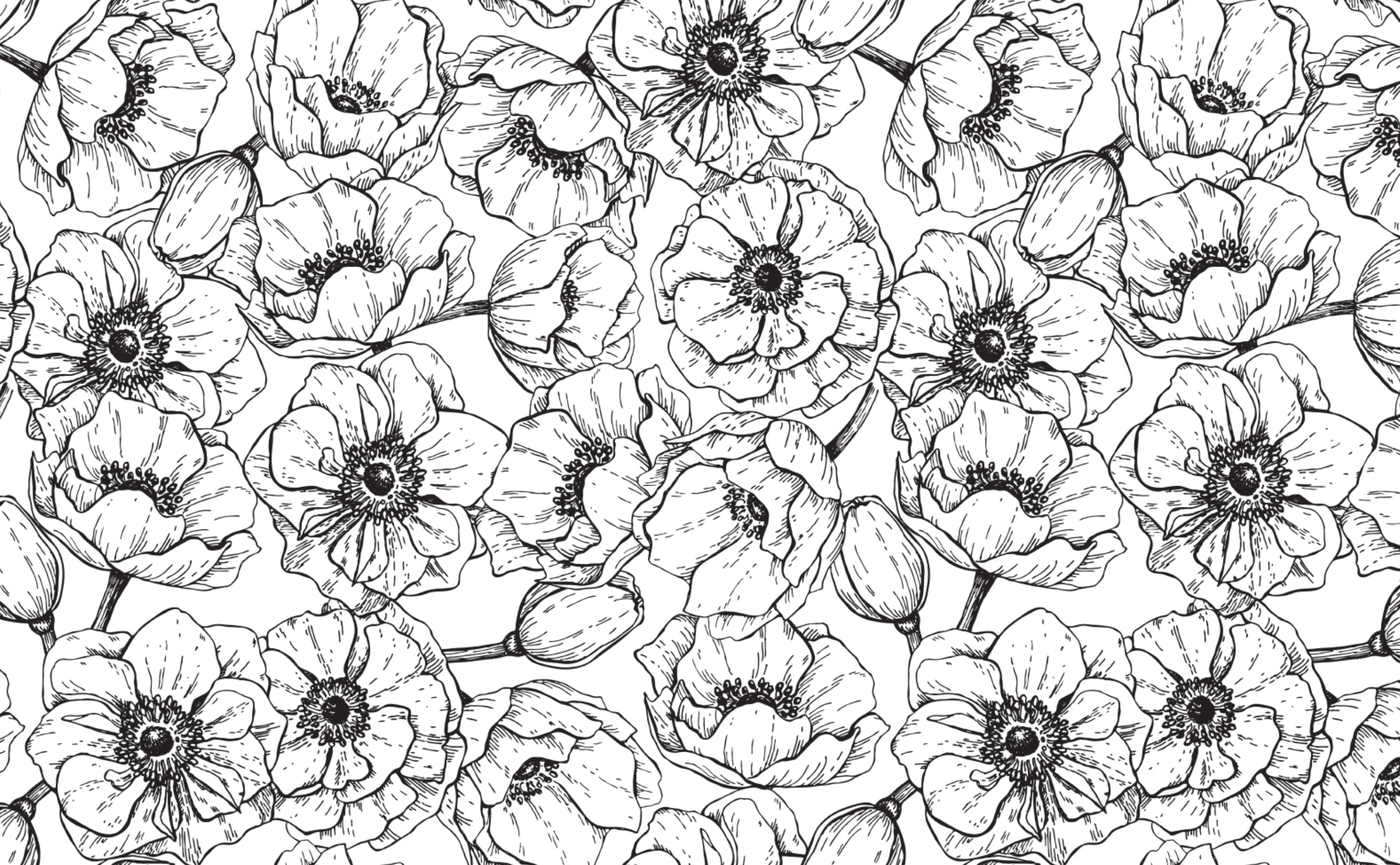 3028x1872 Flower Power