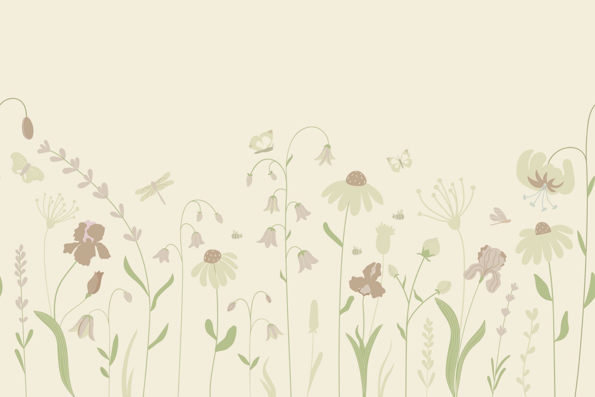 1920x1280 Fotobehang field high with butterflies sand with old pink