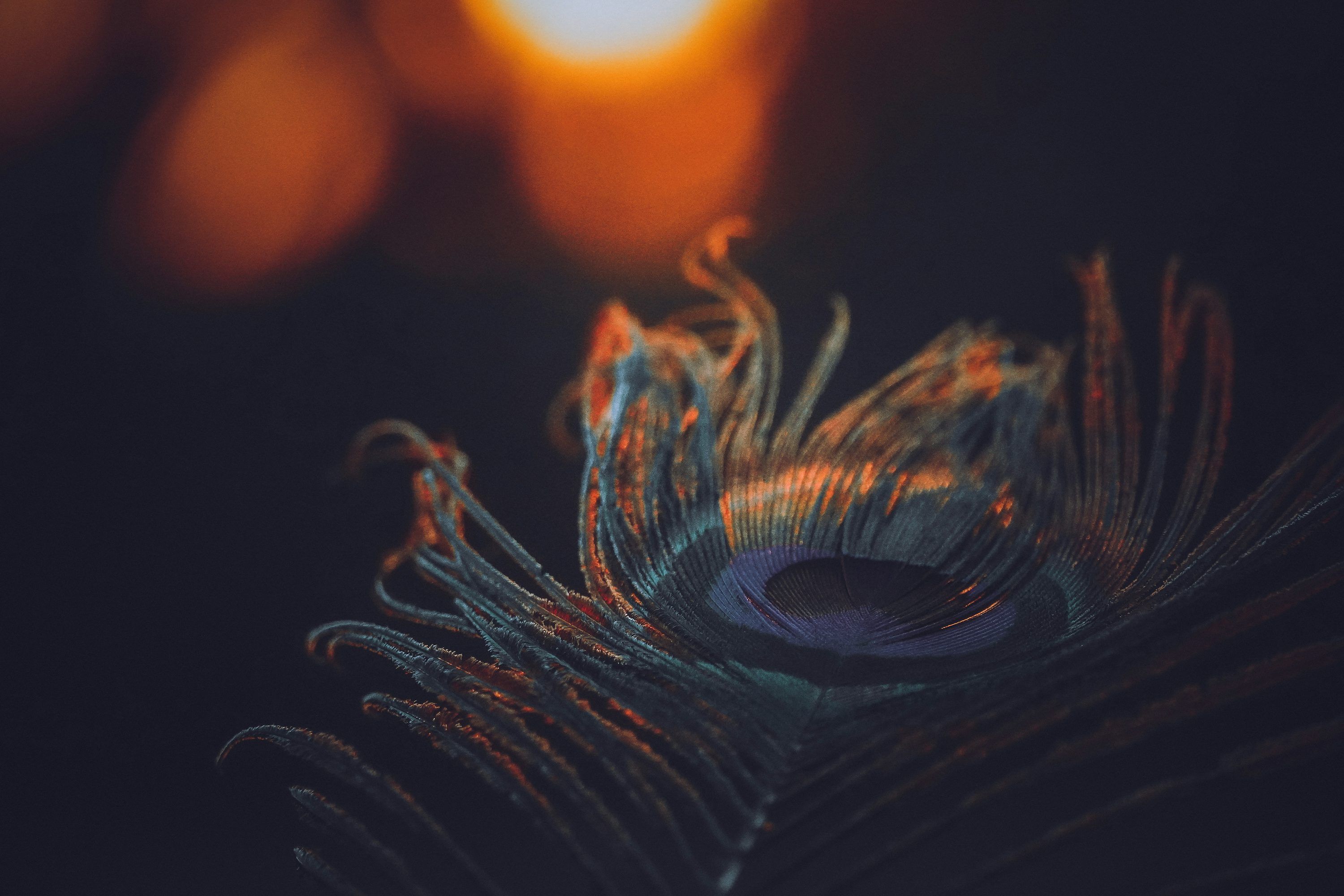 3000x2000 Shri Krishna Picture. Download Free Image